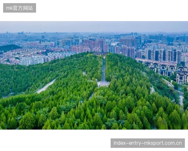 瓦伦西亚前插频繁制造防守裂隙：从场上战术到场下商业机遇的全景解码